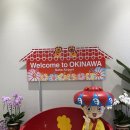 영순네코다리 | [태교여행] 오키나와① 카루비,스투시,오키나와분카야잡화점,얏빠리스테이크3호점,호텔콜렉티브...