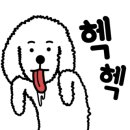 신평2동-5 이미지