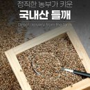 채운영농조합법인 이미지