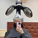 해운대쌍용플래티넘트윈 | [해운대 헤어샵] 뿌리볼륨펌 장산역 미용실 유진헤어 후기