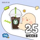 의흥보건지소 화장실 | 임신기록👶．25주~31주차 : 임신중기증상, 디마백, 태동 검사, 백일해 접종, 임산부 코로나, 위드아워...
