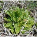 꿈꾸는농장 이미지