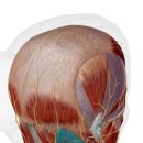 누리담한의원 이미지