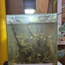 대한키즈 스윔스쿨 삼송캠퍼스 이미지