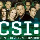 CSI : 이미지