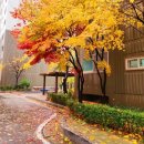 가을여행 이미지