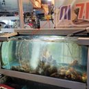 참작은포구 이미지