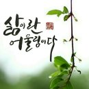 점터 이미지