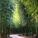 진리와바다 이미지