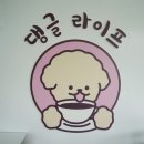 석성로301번길 | 비 오는 날 가기 좋은 실내 용인애견카페 댕글라이프