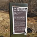 서리상반고려백자요지 | 용인 서리 상반 고려백자 요지 (23.12)