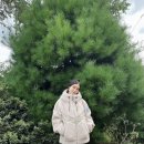 포그니코리아 이미지