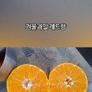 이마트24 재송센트레빌점 이미지