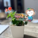 수선화 미용실 네이버블로그