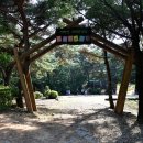 태학산자연휴양림 이미지