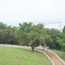 광경목장 이미지