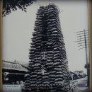 제126차 군산 근대문화답사 이미지