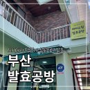 해피드림발효