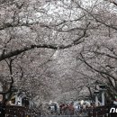 진해구 ⓒ-19 이미지