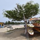 GS25 인구해변점 이미지