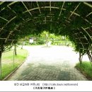 느리울11단지 이미지