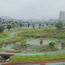 탐진강 Daum카페