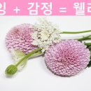 웰라이프코칭연구소 이미지