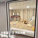 점프노리유성