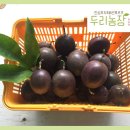 두리농장1 이미지