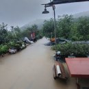 세례농장 이미지