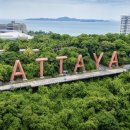 파타야A 이미지