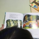 탄탄하우스 이미지