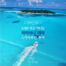 스카이라인투어 이미지