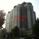 삼라마이다스 이미지