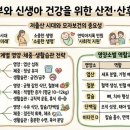 대전대학교 일반대학원 | [산전산후 건강관리] 임산부 영양 관리: 산모와 태아를 위한 시기별 영양 전략