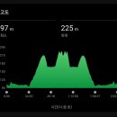 다올한방병원 | 안동마라톤(하프)참가후기 with FFRC
