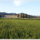 김화초등학교 이미지