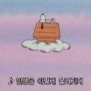 델픽제주스톤하우스 이미지