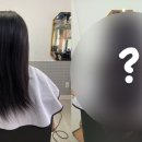 헤어 바이 선미경