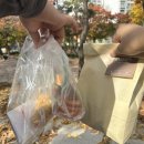 글꽃초등학교 앞 이미지