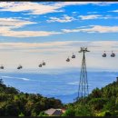 골든카서비스 이미지