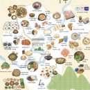 매포쭈꾸미 이미지