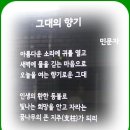 안산 트레킹 - 흰돌모임 이미지