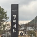 [경북 | 상주] 경천서림 | 상주 카페 | 상주 북카페 | 상주 소품샵