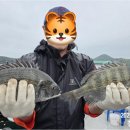 신광낚시 이미지