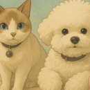 뽀솜뽀솜 이미지