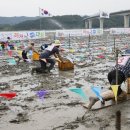 벌교 참꼬막 한깡에 80만원 &#39;입이 쩍&#39;..갯벌 뻘배대회서나 맛볼 듯 이미지