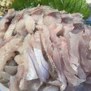 앗싸회수산 이미지