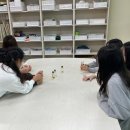 현곡초등학교 | 진로체험, 경주 현곡초등학교 5학년생을 대상(2일차...알아보기와 꿀비누 만들기 체험학습 후기 입니다.