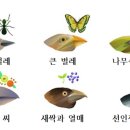 모양환경 이미지
